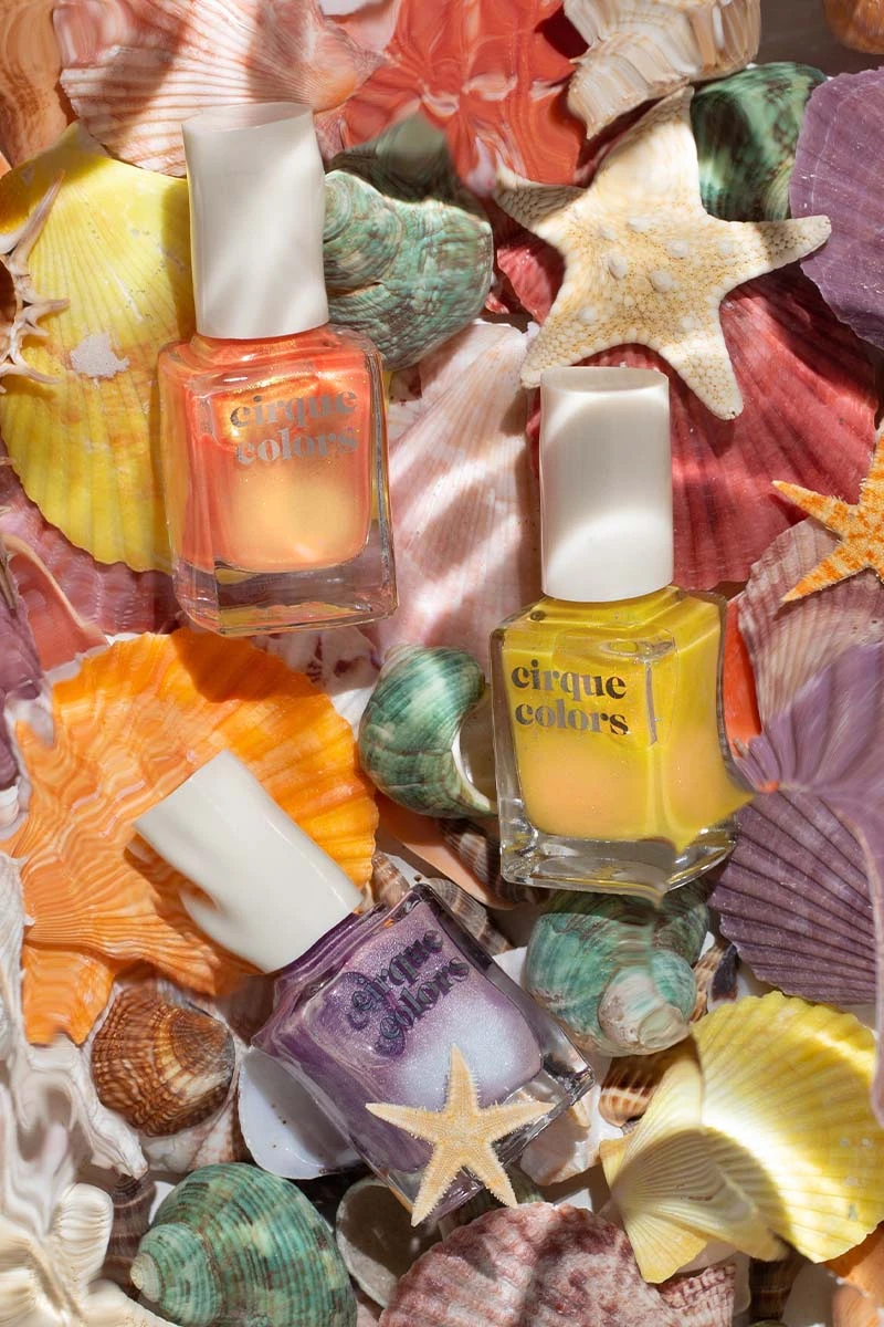 Shaka 7 Shaka - Image 5