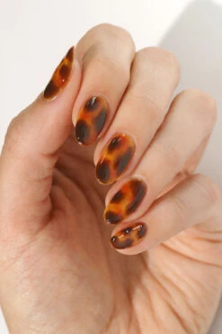 Rust Jelly -Cirque Colors Shop LOWRES swatch hannah tortoiseshellset