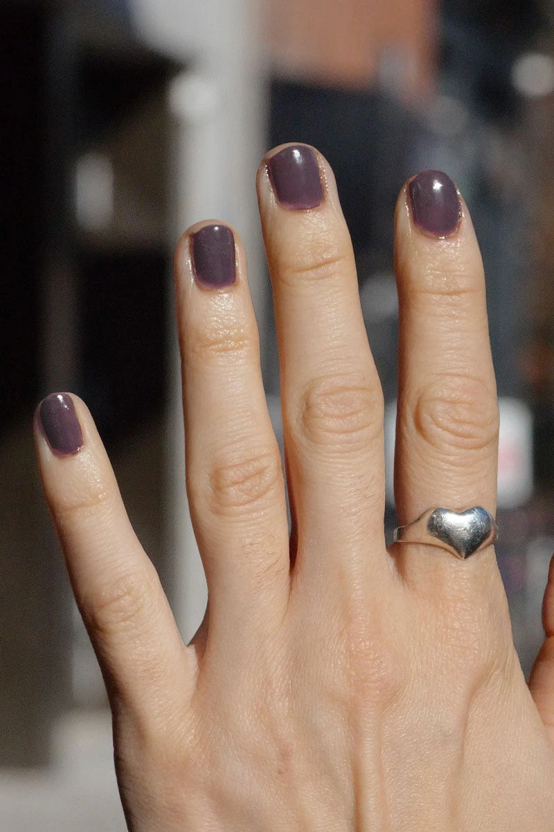 Zen Jelly 5 Zen Jelly - Image 4