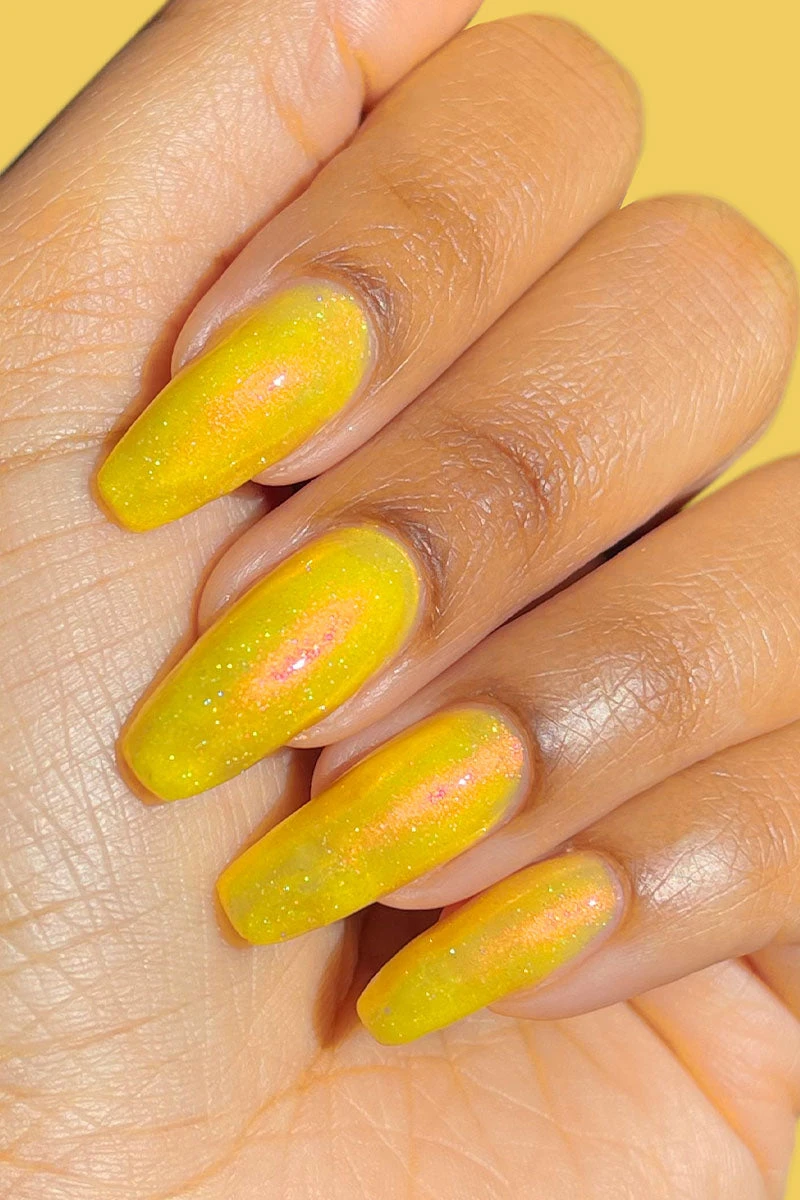 Shaka 6 Shaka - Image 4