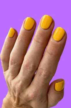 Nirvana -Cirque Colors Shop LOWRES swatch tyler nirvana