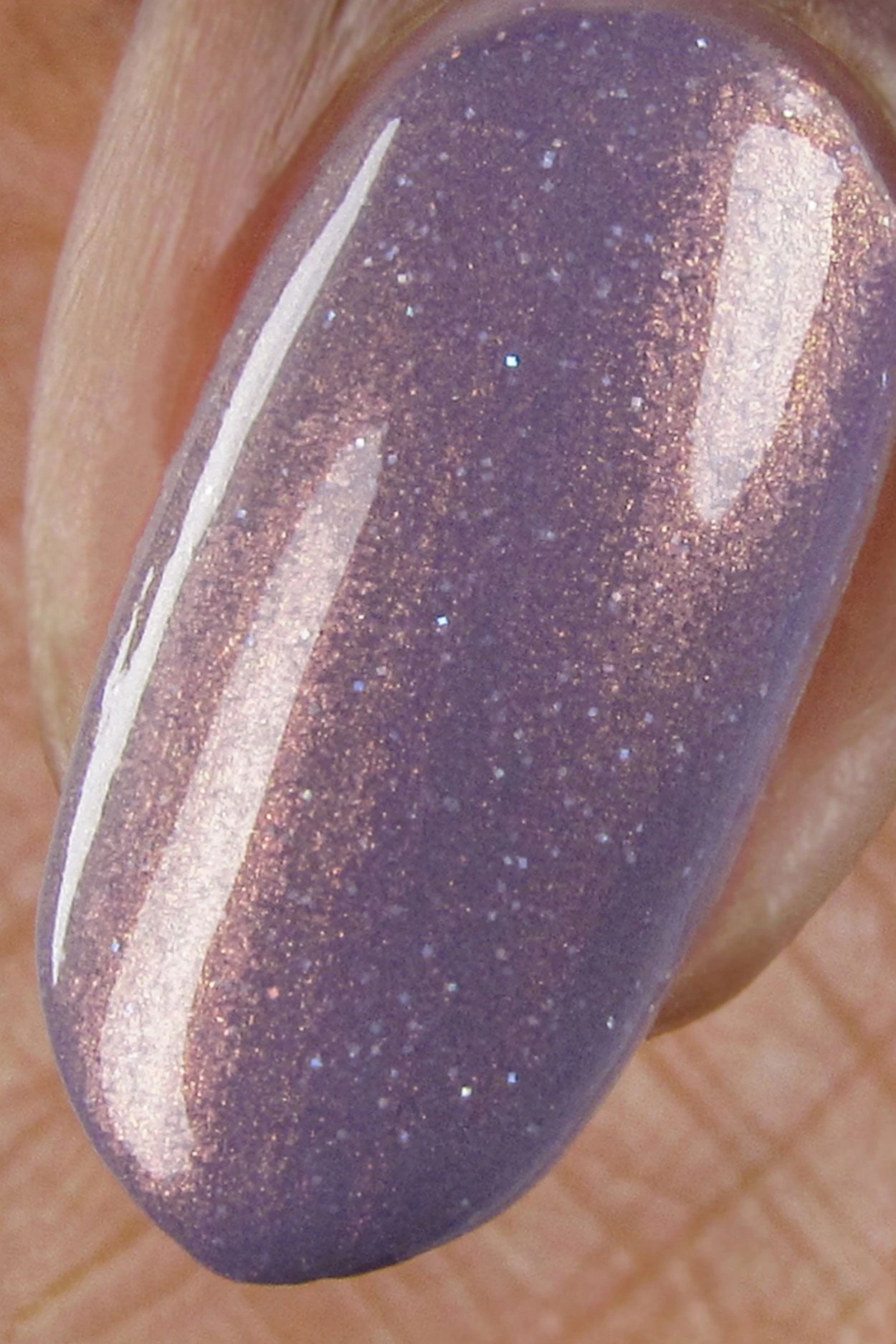 Wildflowers 8 Wildflowers - Image 6