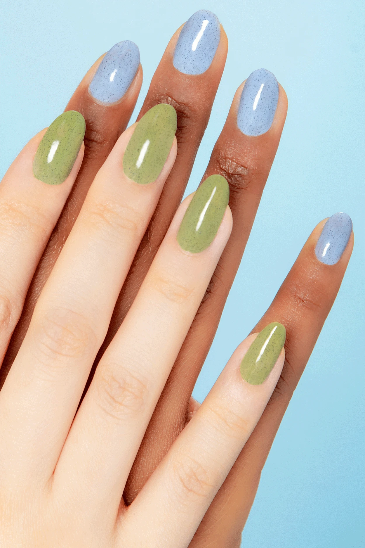 Robin 6 Robin - Image 5