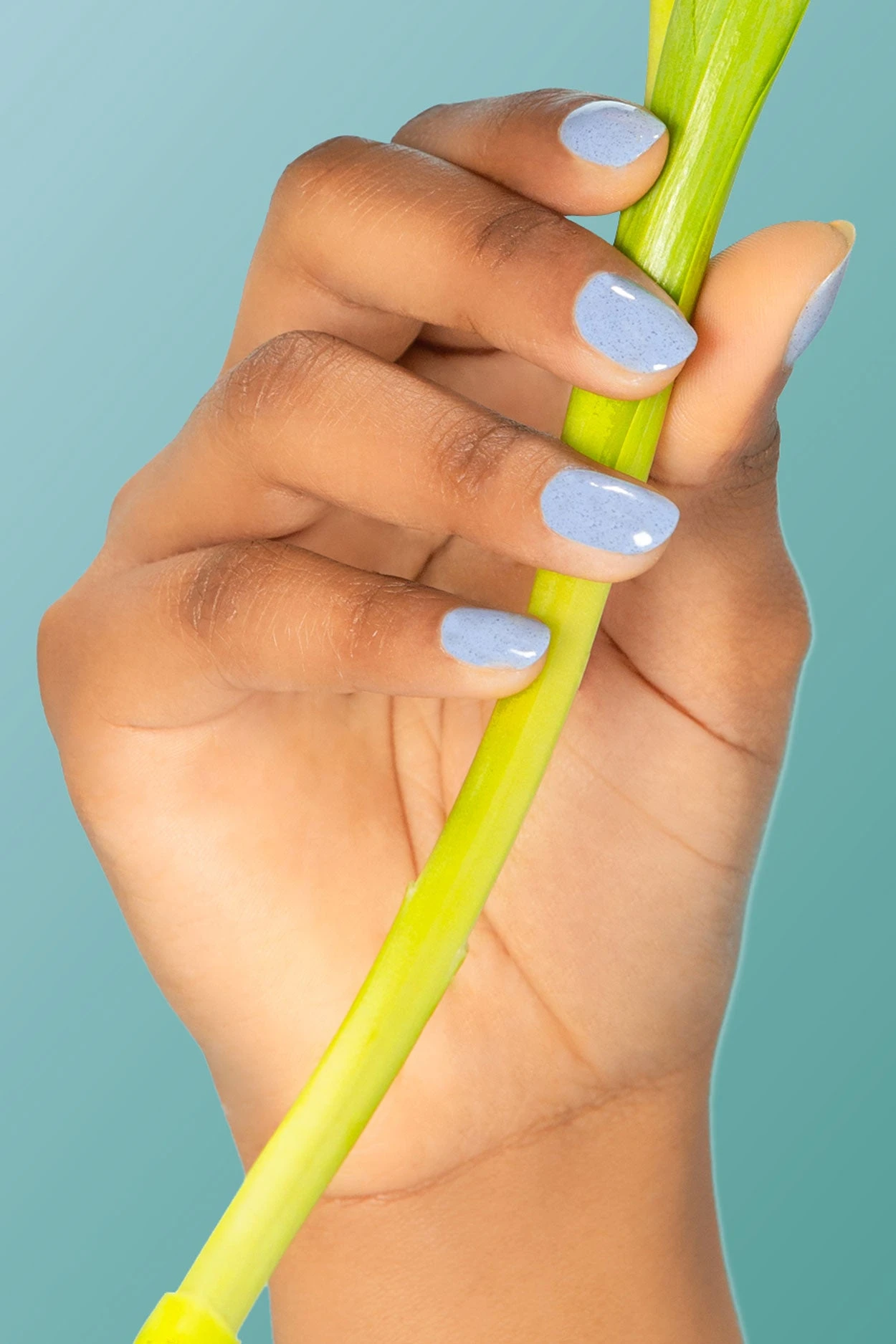 Robin 3 Robin - Image 2