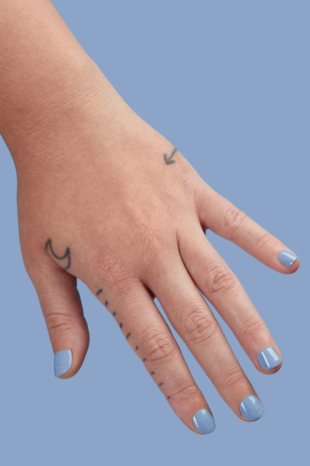 Robin 8 Robin - Image 7