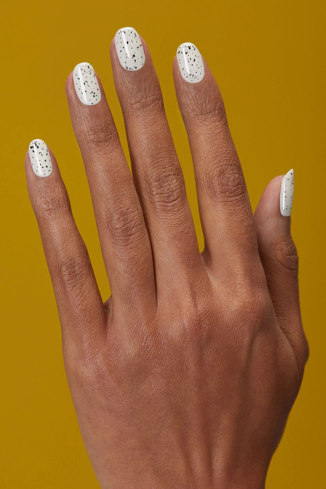 Spotted 4 Spotted - Image 2