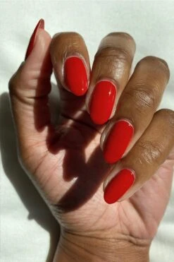 Toadstool -Cirque Colors Shop TOADSTOOL LOW RES 02 26324