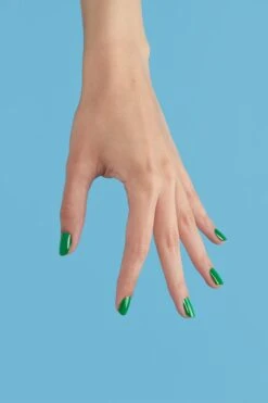 Renegade -Cirque Colors Shop Tami RENEGADE LOW RES 73053