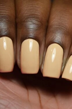 Vanderbilt -Cirque Colors Shop VANDERBUILT LOW RES 01 62716