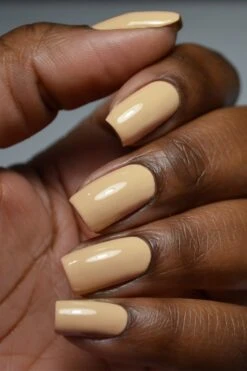 Vanderbilt -Cirque Colors Shop VANDERBUILT LOW RES 02 20926