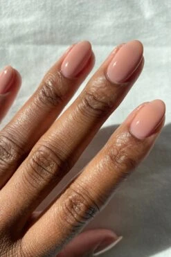 Voile -Cirque Colors Shop VOILE LOW RES 01 50712